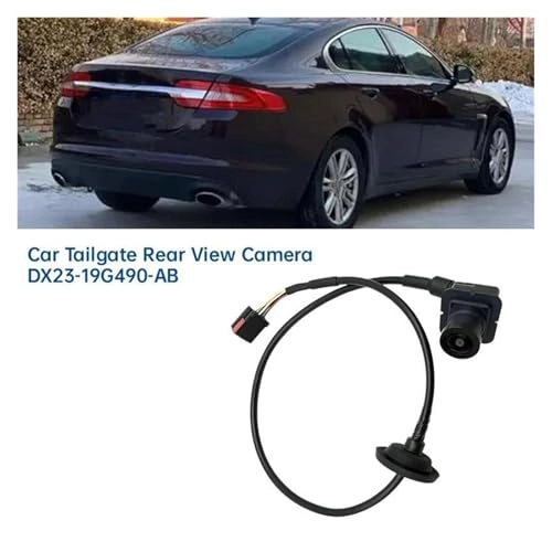 472728 - Night vision 720*540 pixels