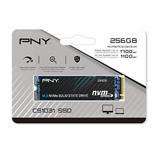 CS1031 - 256 GB M 2