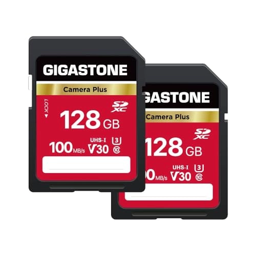 Gigastone SD Card - 128GB + mini Cases
