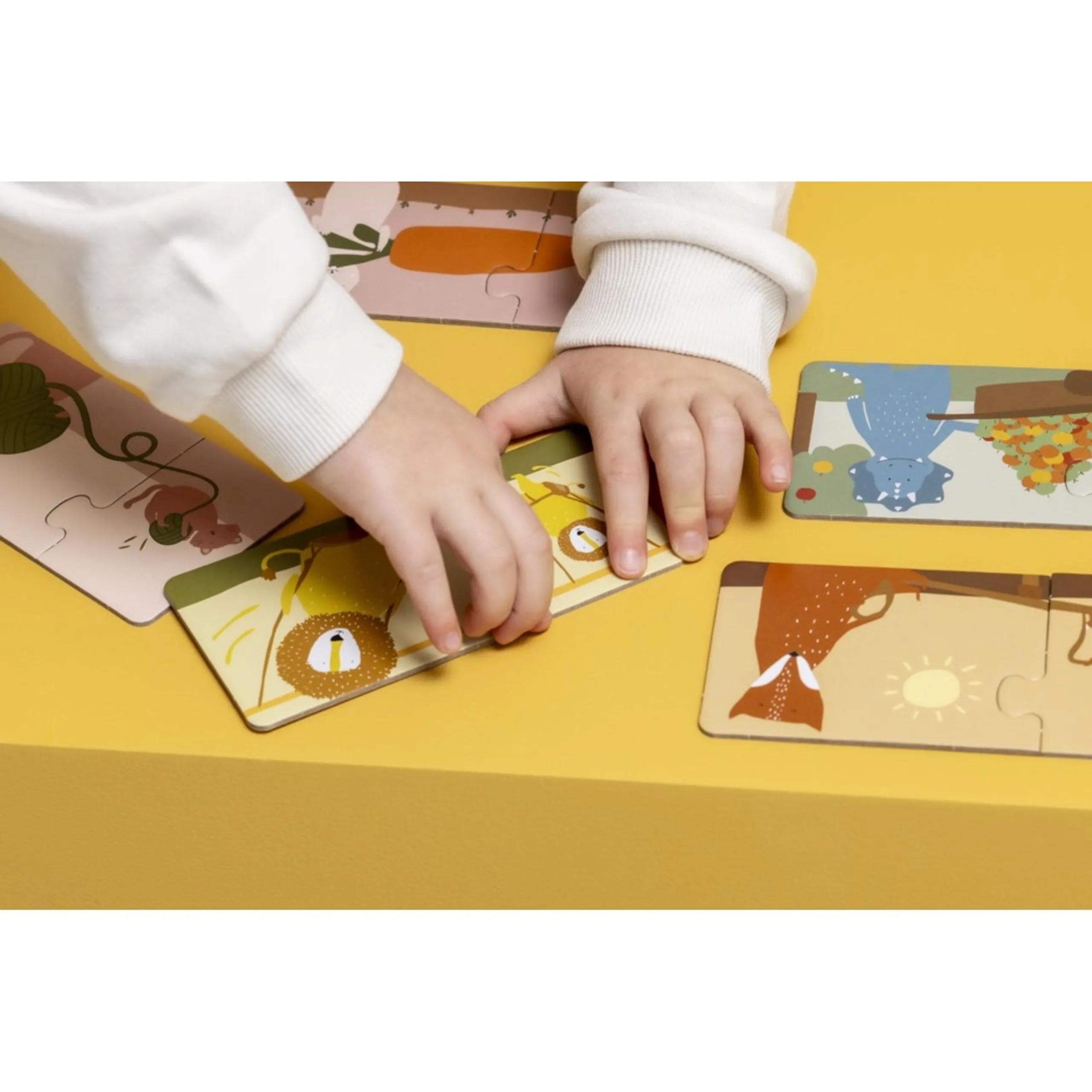 Puzzle Box - Matching Animals 20 Pc Set