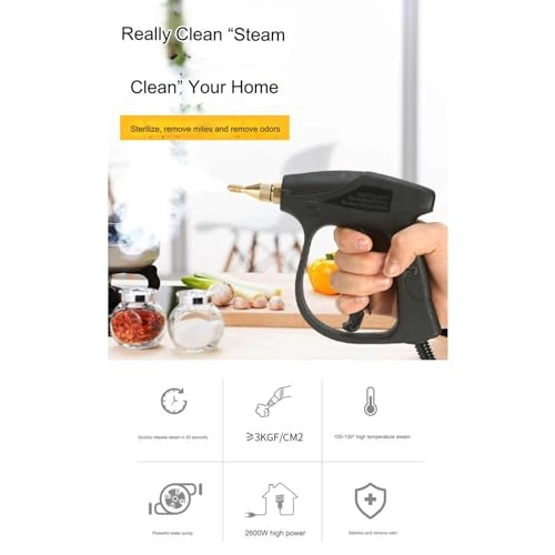 High Temperature Steam Cleaner - 2-3Bar