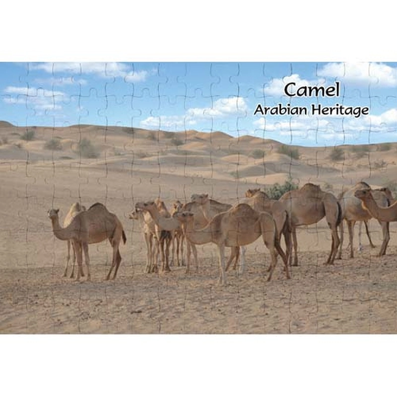 Ajooba Dubai Souvenir Camel Arabian Heritage Puzzle (MCA 0009)