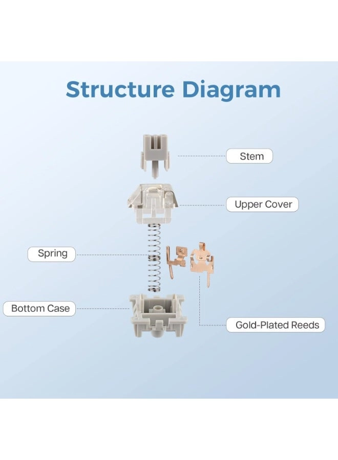 LEOBOG Graywood V3 - 100 Pieces