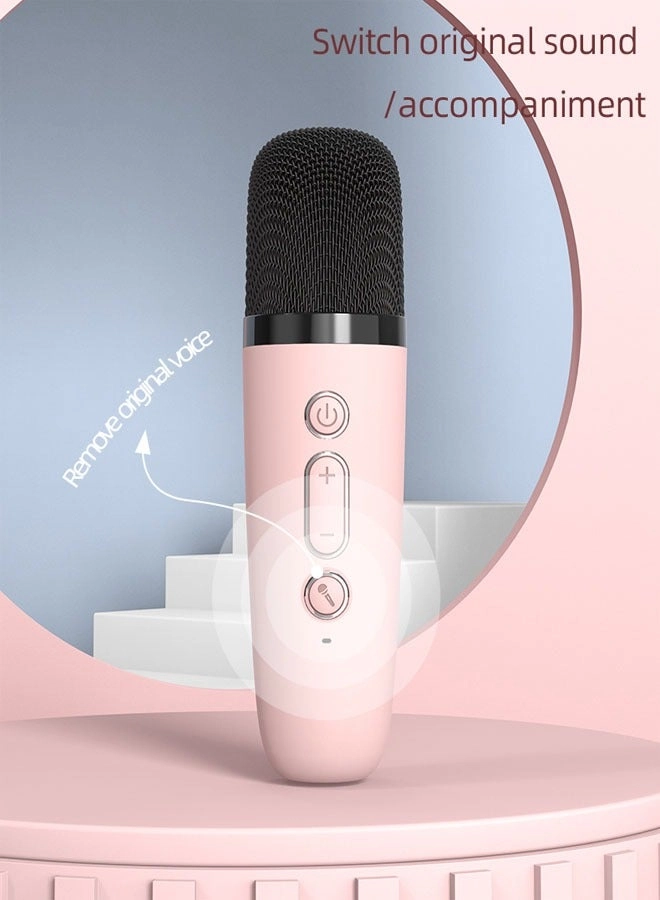 Karaoke Speaker Set - 2 wireless microphones