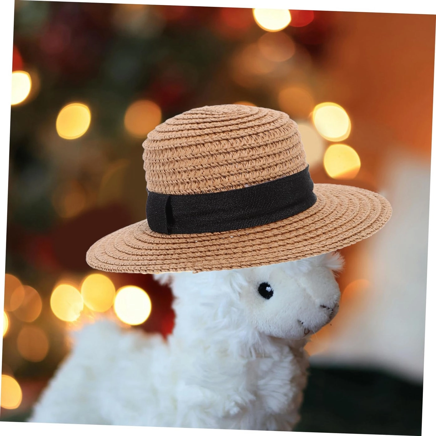 Mini Top Hat - 15.50X15.50X5.00CM 1