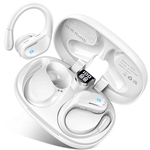 BX29 Wireless Earbud