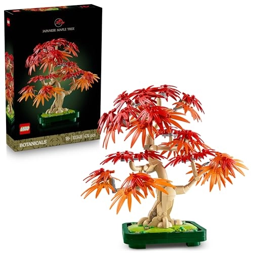 Japanese Red Maple Bonsai Tree (10348) - Botanicals