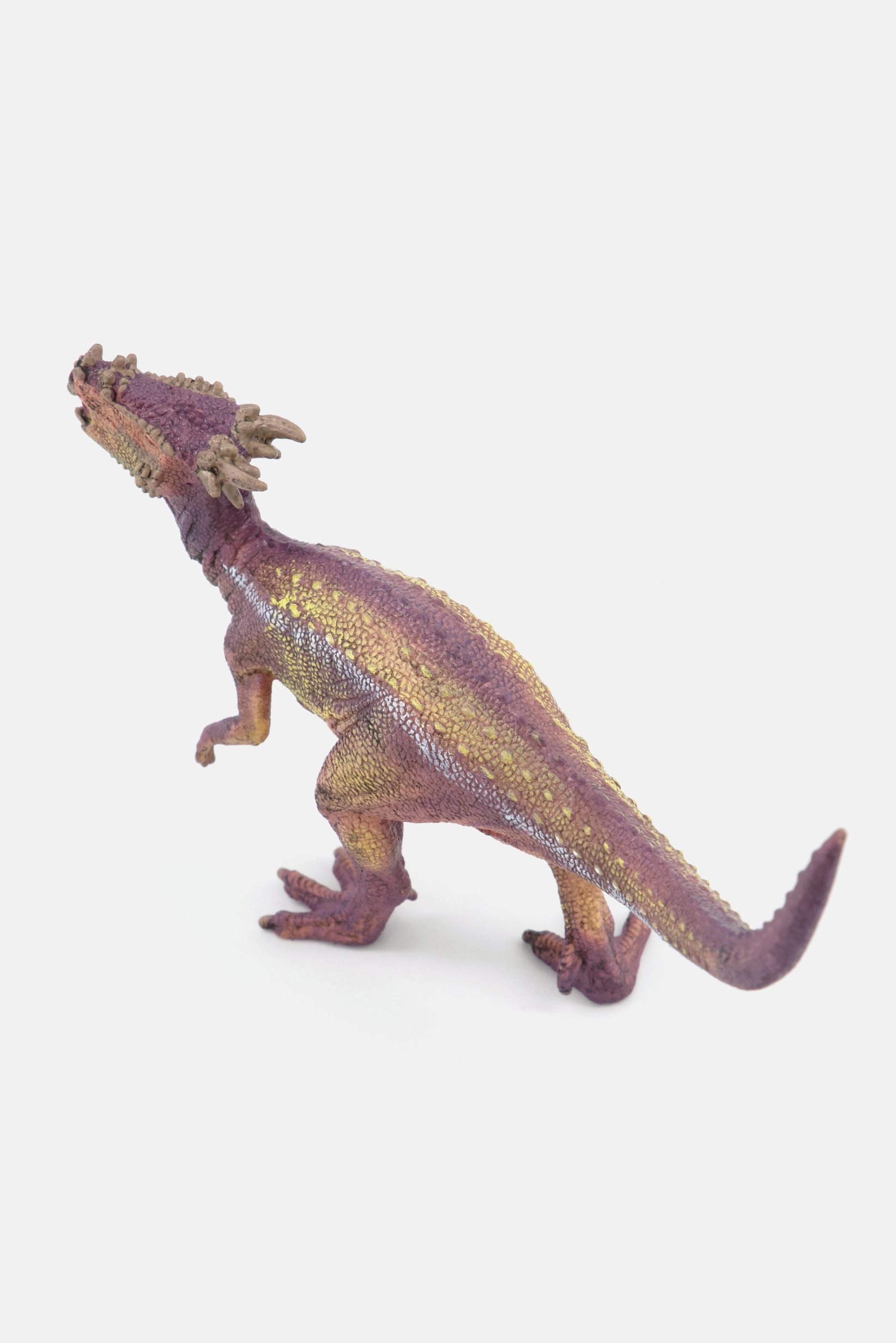 Dracorex - 4+ Years No Character