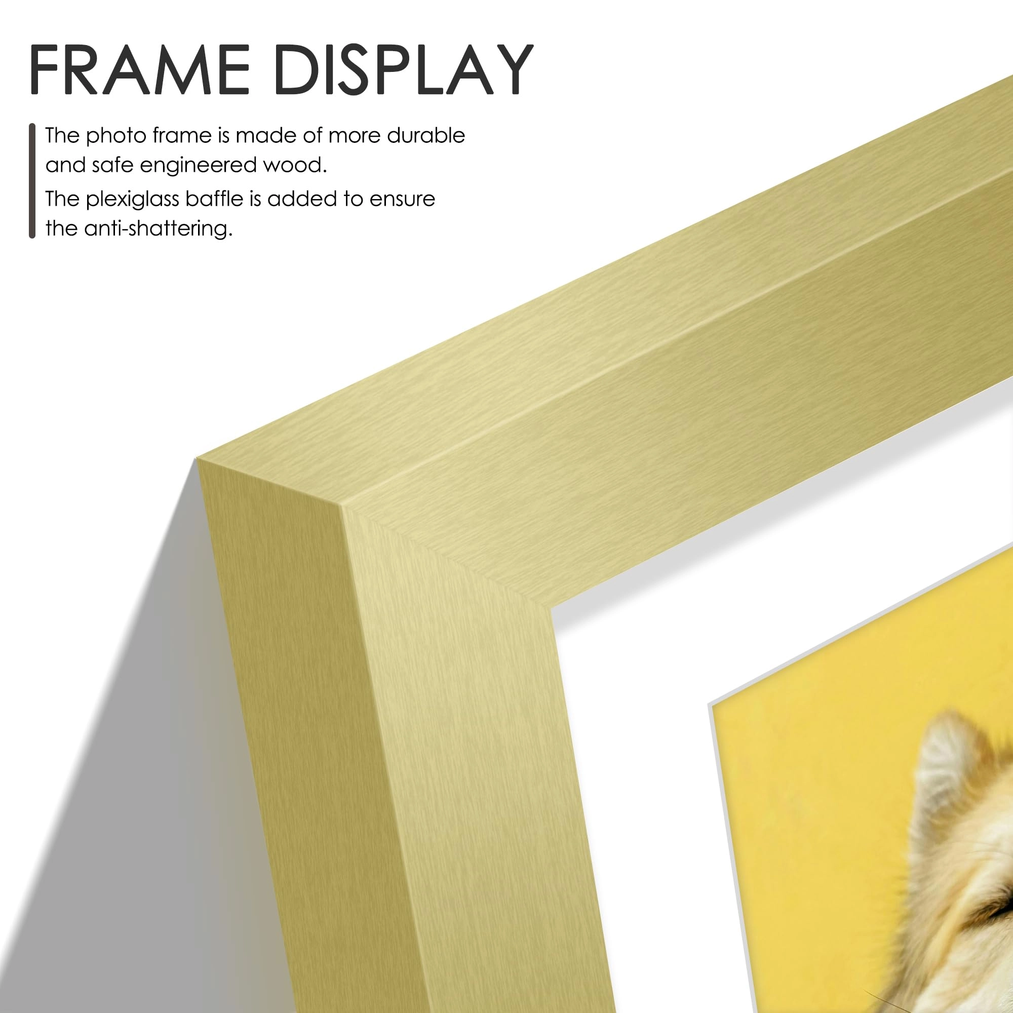 Picture Frame - 12x16 5x7