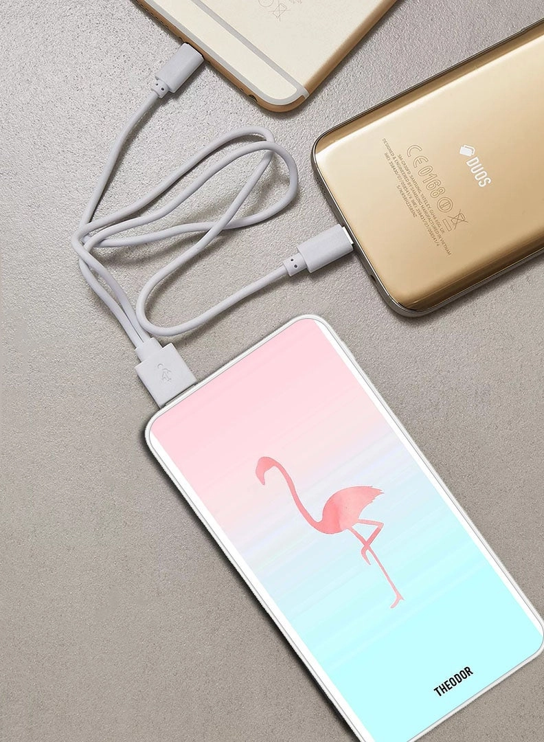 EX_PPBA436 - 10000 Watt-hour