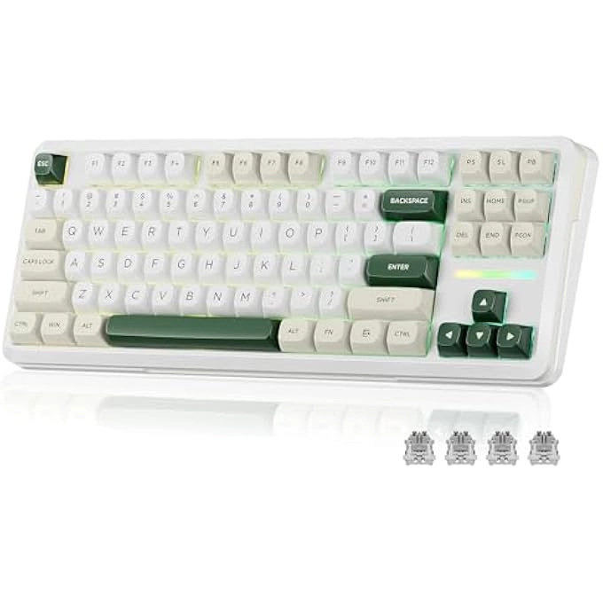 rayihni K734W - TKL Wired/Wireless