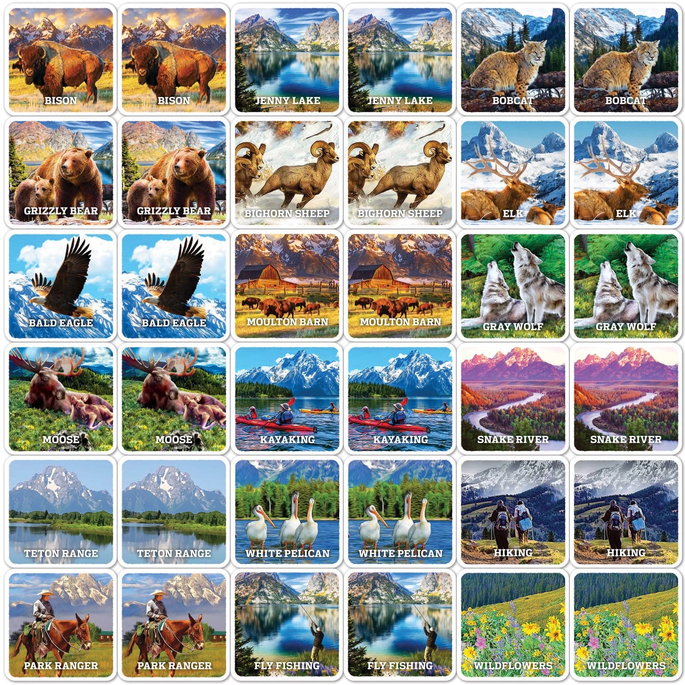 Grand Teton Matching Game