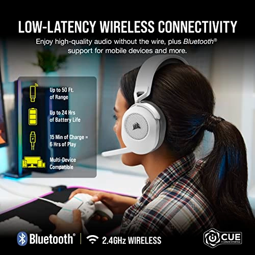 HS65 Wireless Headset