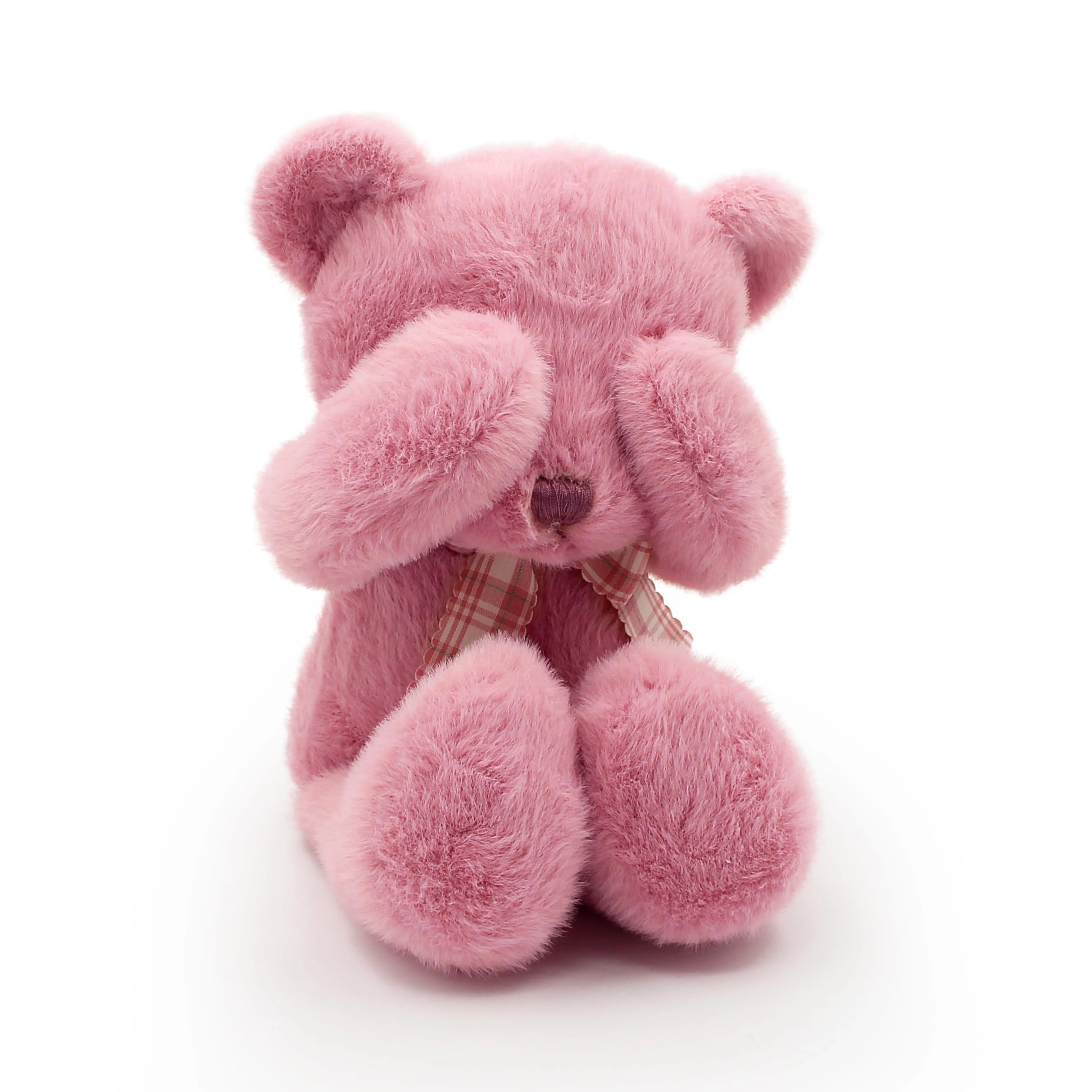Teddy Bear HUACHUKAI006 30 cm Plush