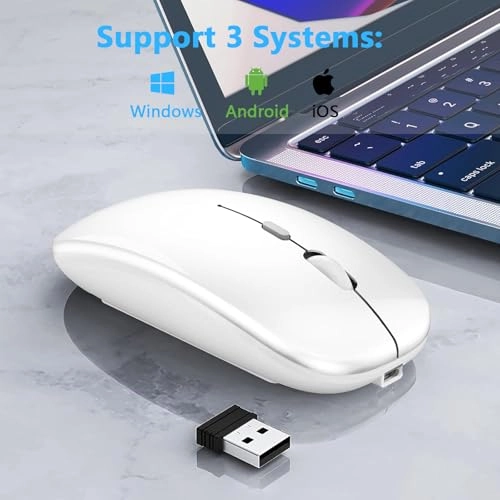 Wireless Mouse - 2.4G Bluetooth