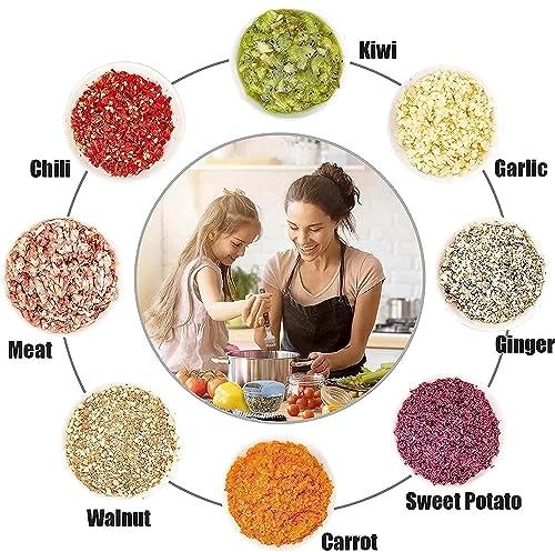 Push Chopper - 1100 ML 5 Blades