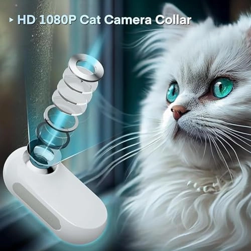 Cat Collar Camera