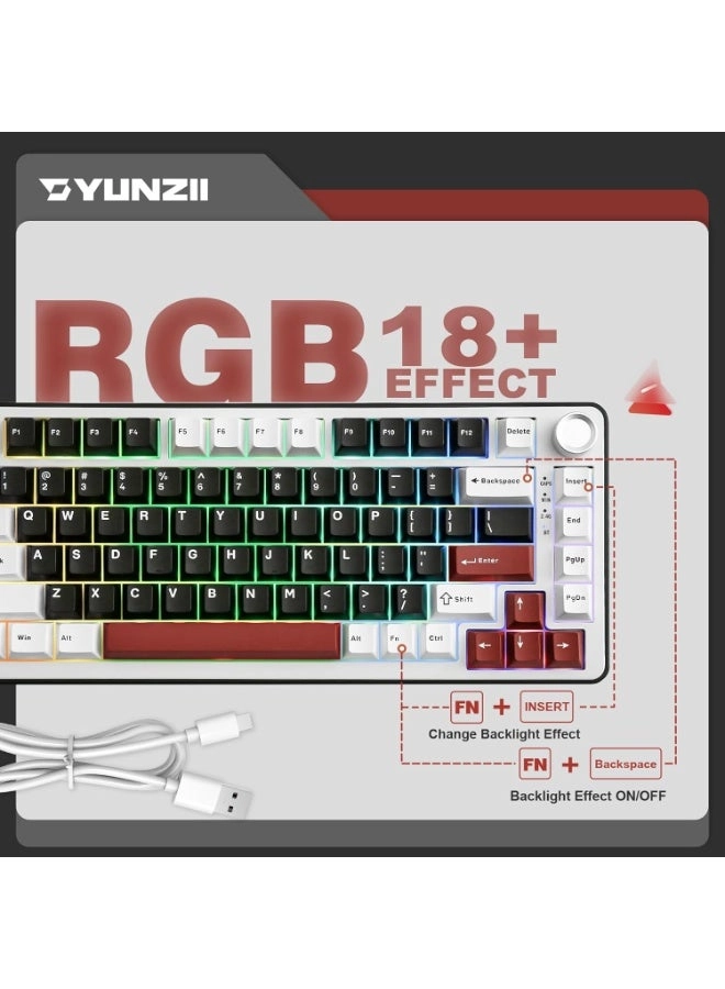 B75 PRO - 75% Wired/Wireless