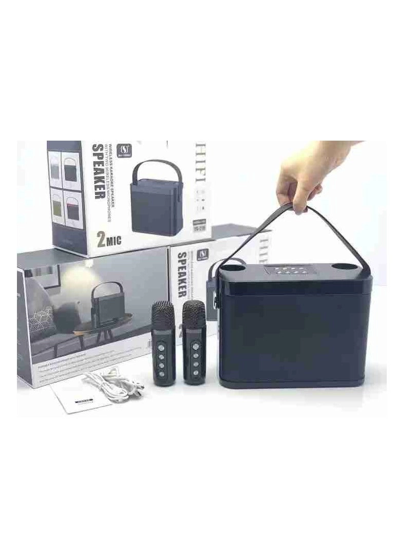 YS-219 - 2 Wireless Microphones 60W