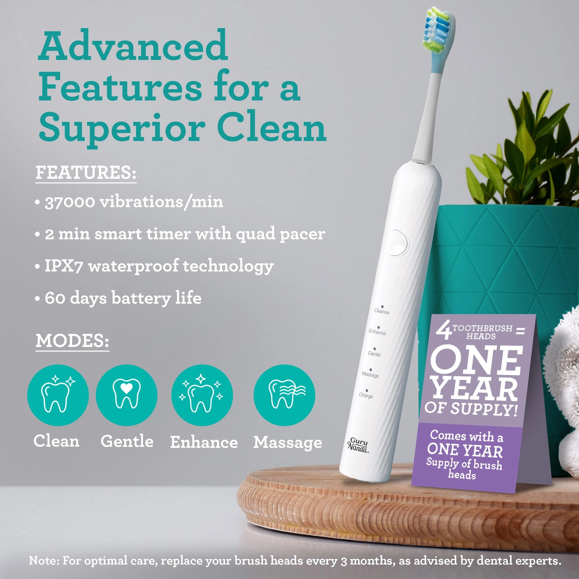 Lion & Lamb Kit 2.0 - 4 Brush Heads Lavender + Water Flosser - 4 Jet Tips IPX7 Waterproof