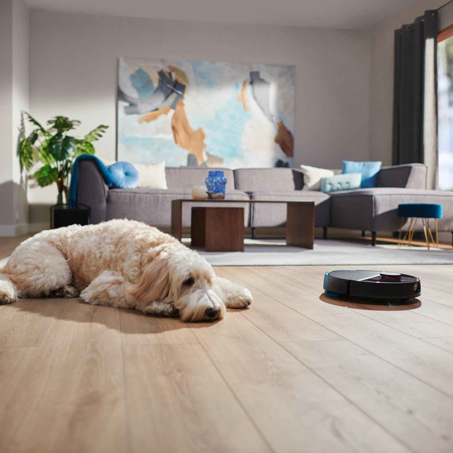 HomeRun 7000 Series Aqua - With Mop, Self-Empty Station