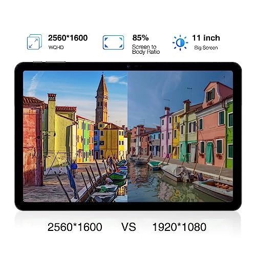 T30 Pro - 256GB 11"