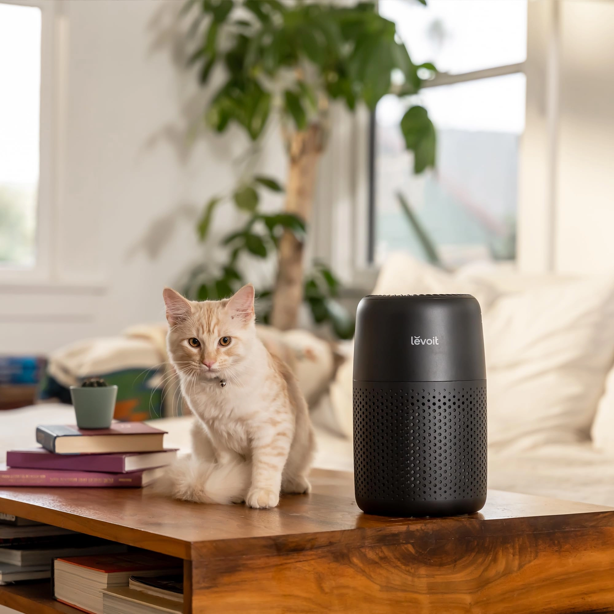 Core Mini - Ultra Quiet 34 sq. m