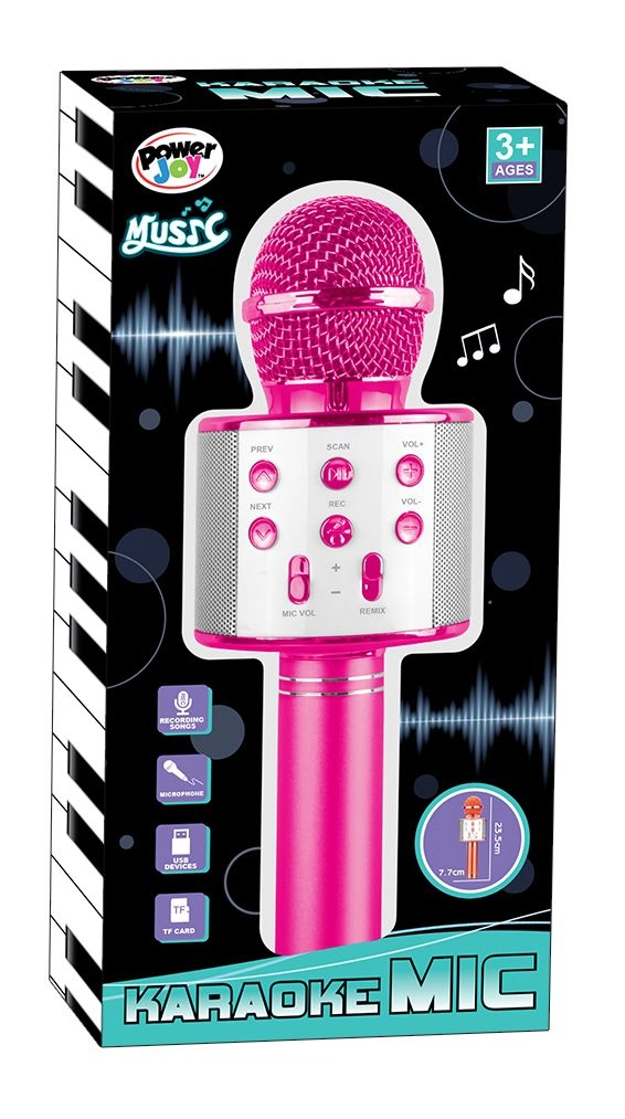 Music Karaoke Microphone - 3 years+