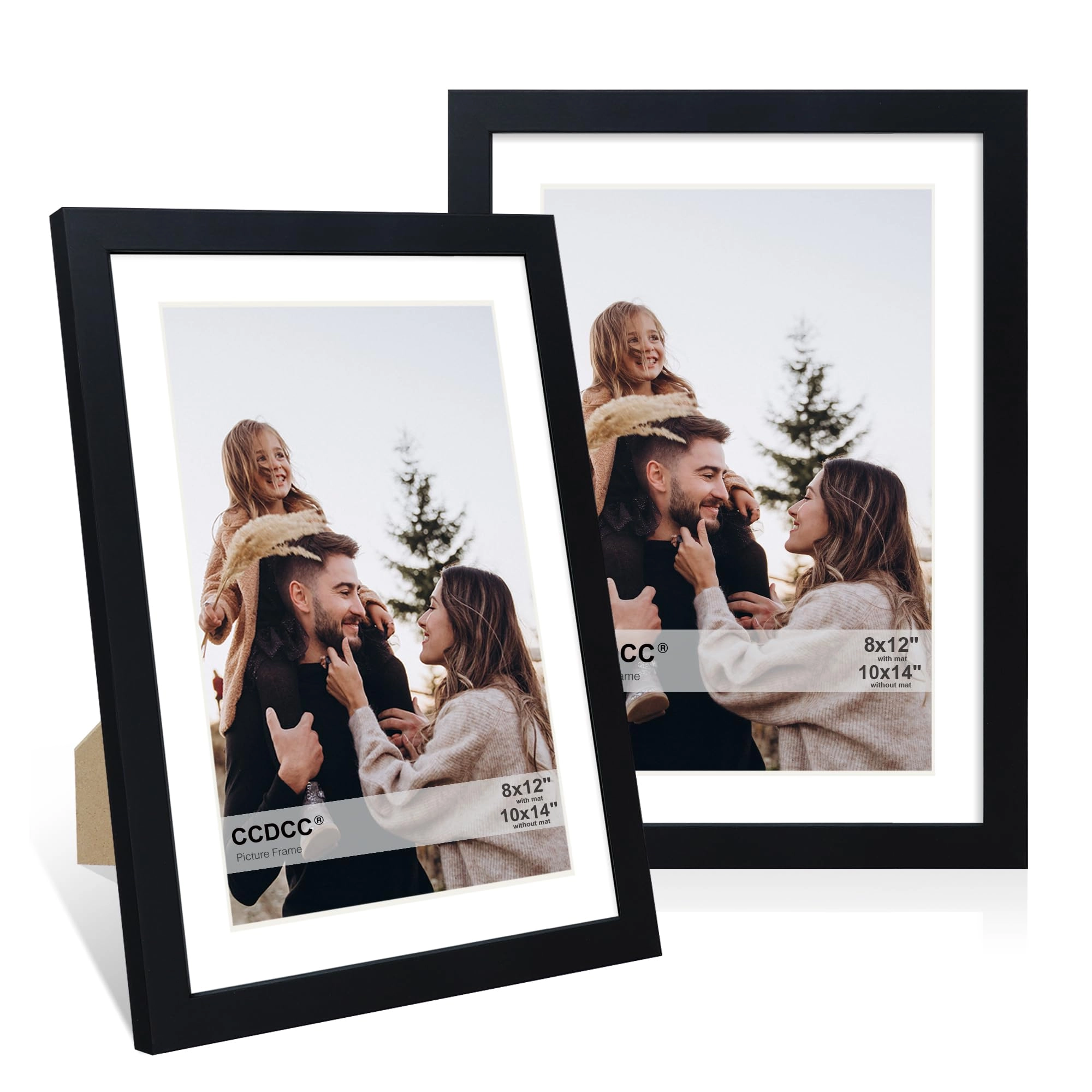 Picture Frame - 10x14 Set