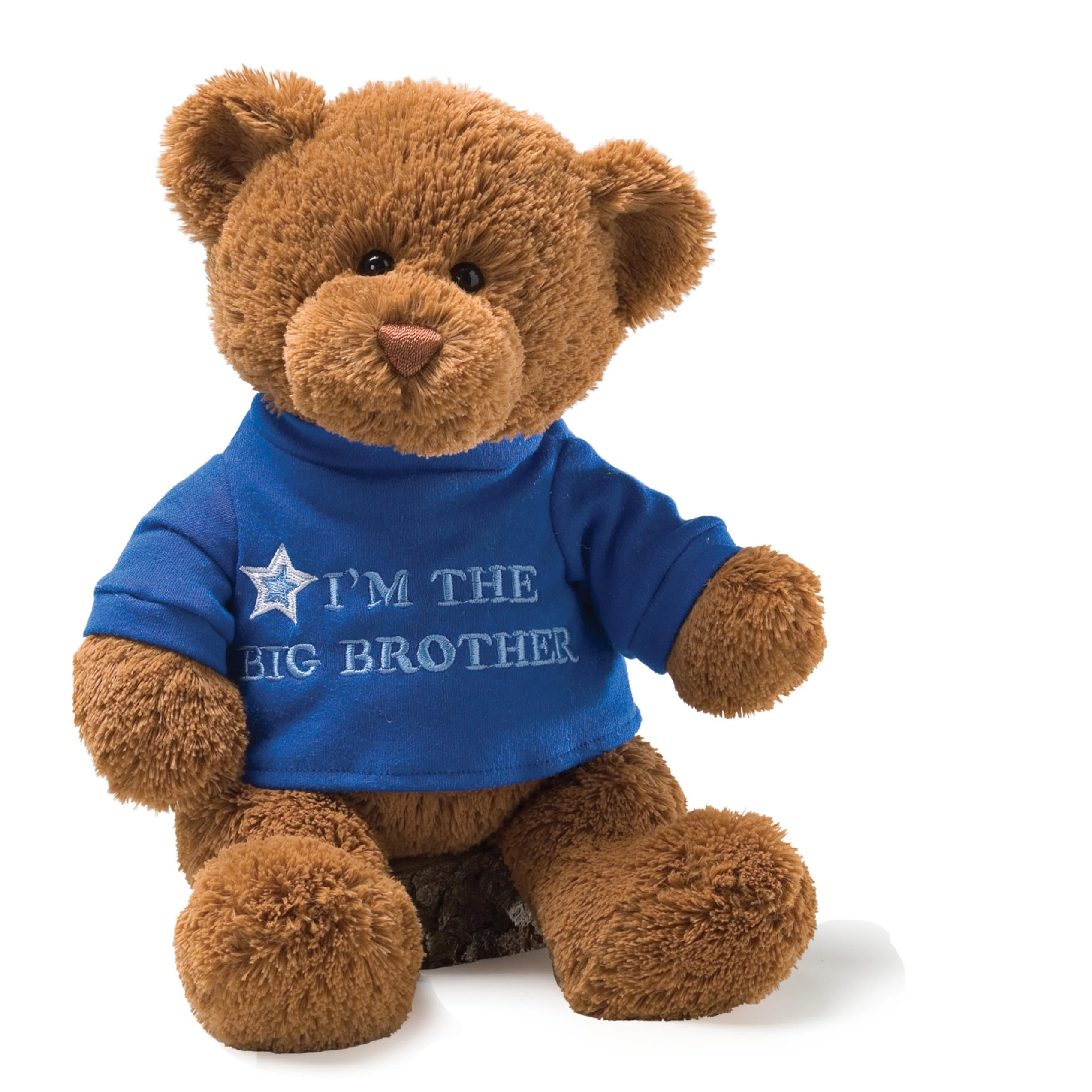 GUND I'm The Big Brother Message Bear - 12" Blue T-Shirt