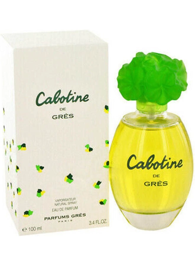 Perfume For Women Eau de Toilette 100ml