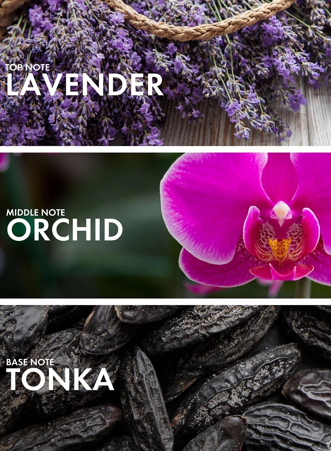 Orchid Lavender - Eau de Parfum 50 ml
