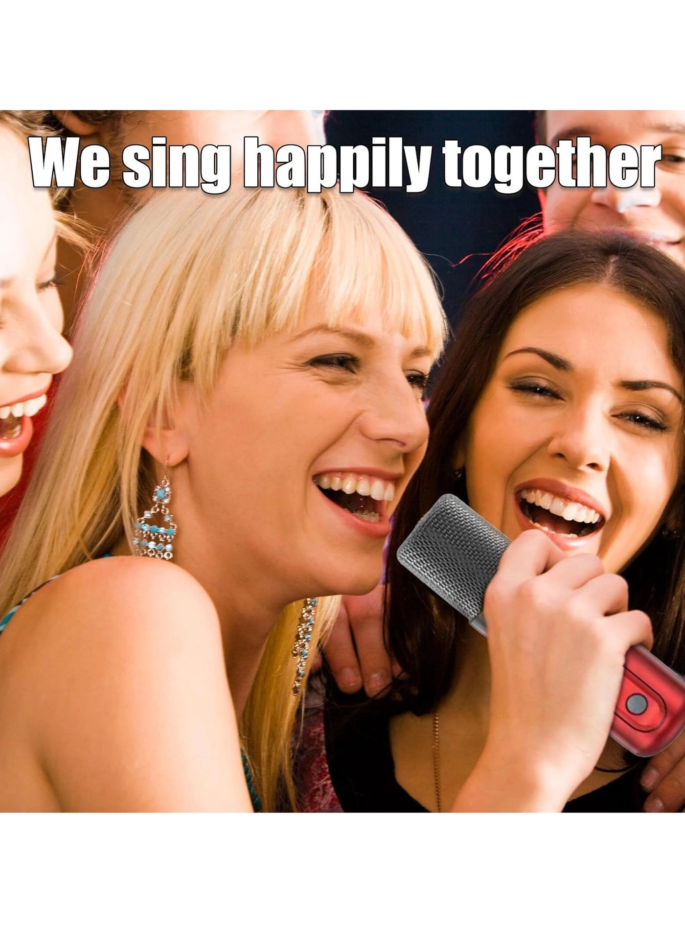 YS307 - 2 Microphones