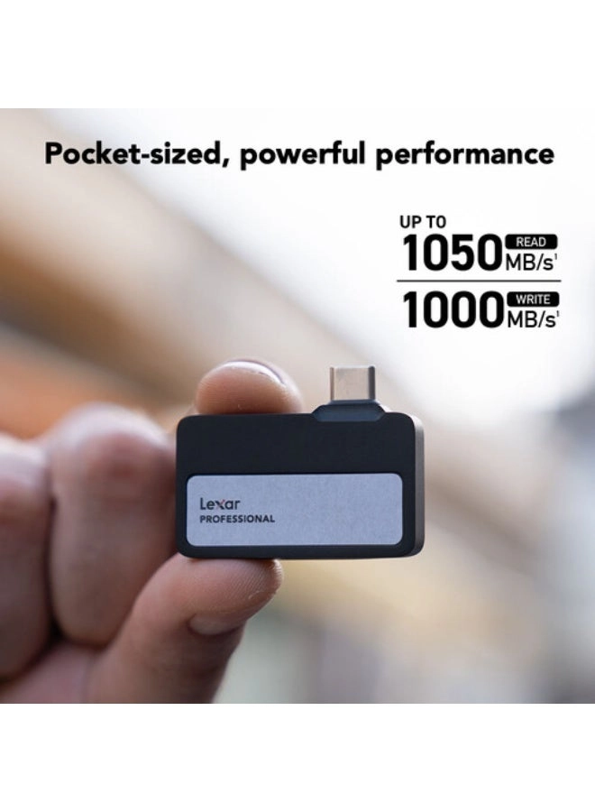 Professional Go - 2 TB