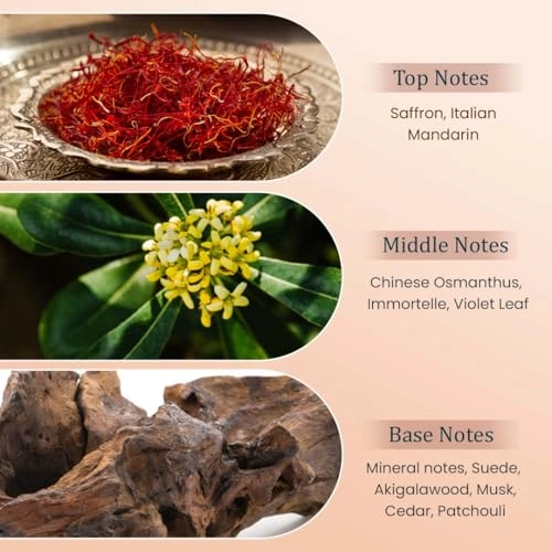 Gravity Eau de Parfum 100ml