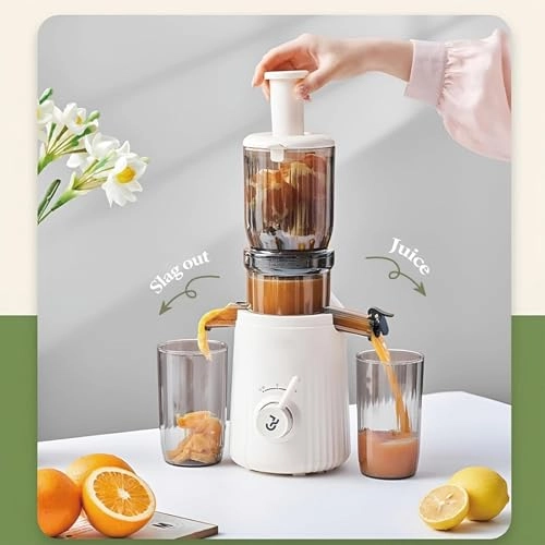 Cold Press Juicer - 250W 1L