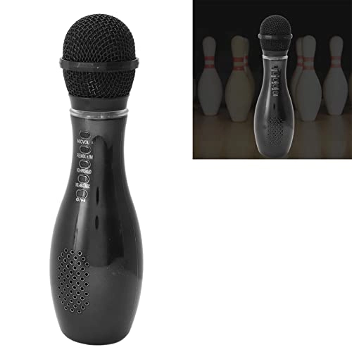 KTV Microphone Wireless Microphone