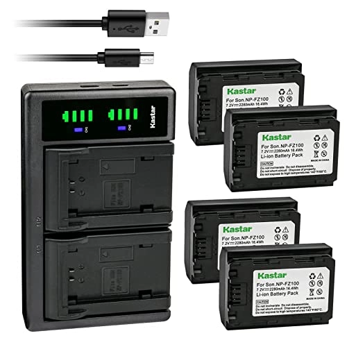NP-FZ100 - 2280mAh + LTD2 USB Charger