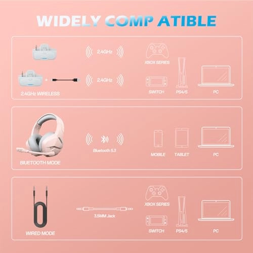 BW01-BT Wireless Headset