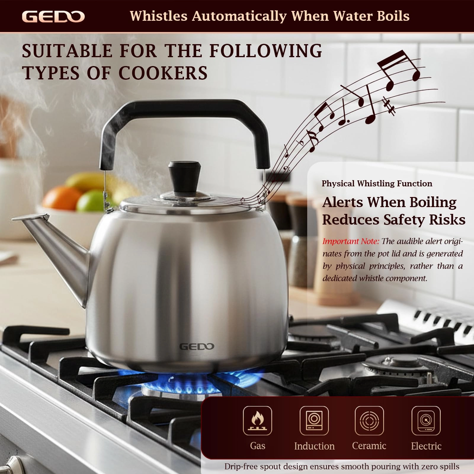 Stainless Steel Whistling Tea Kettle - 6 Liters