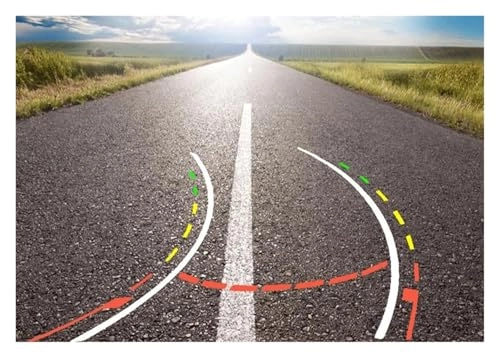 Reverse Camera - Night Vision RCA 600 TV lines