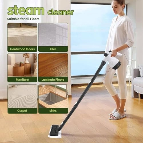 Steam Cleaner - 55PSI 350ML