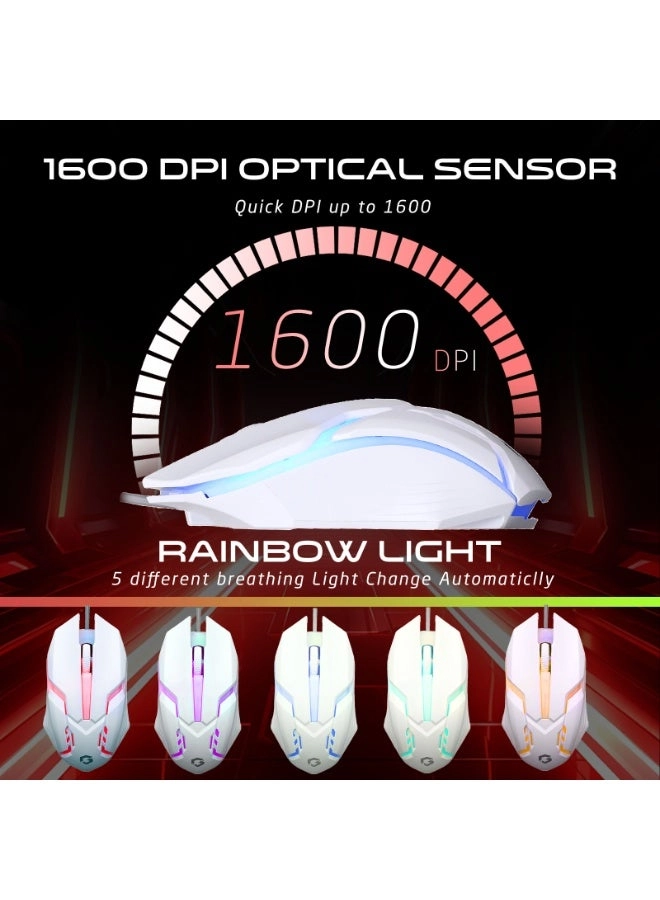 DOMINION - EN/AR Wired