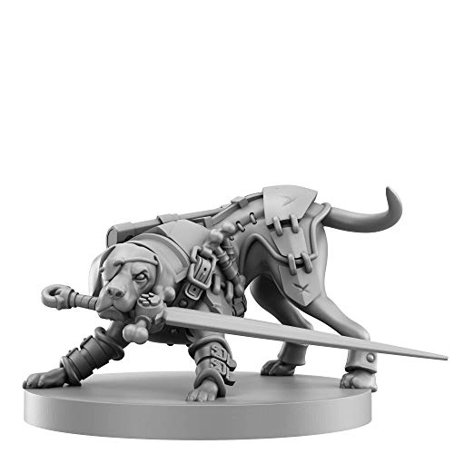 Animal Adventures: Starter Set - 1 Count (SFAA-SS)