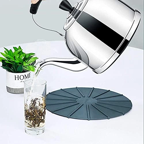 Stovetop Induction Whistling Kettle - 5L