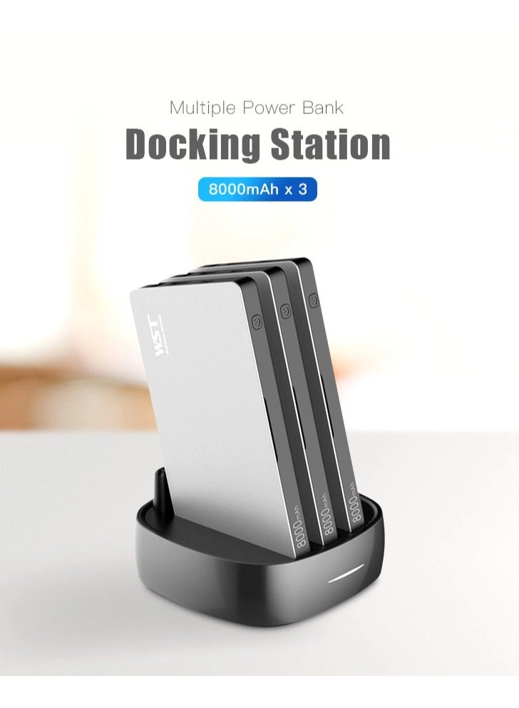 WP931B3 - 8000 mAh 20 W