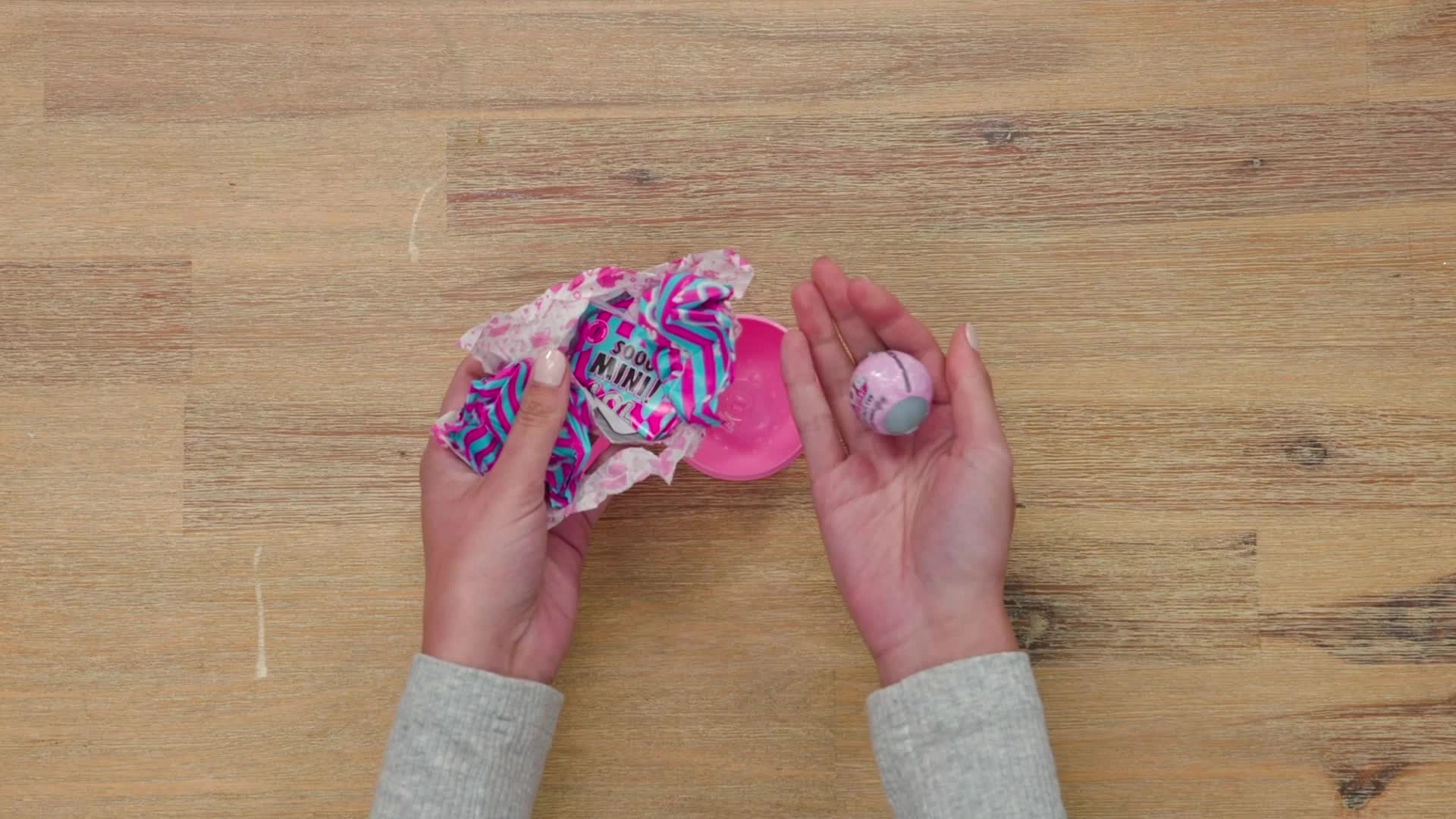 Sooo Mini Lil Sisters - 5 Surprises Limited Edition Ages 4+