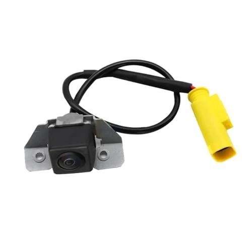Reversing Camera - Night vision