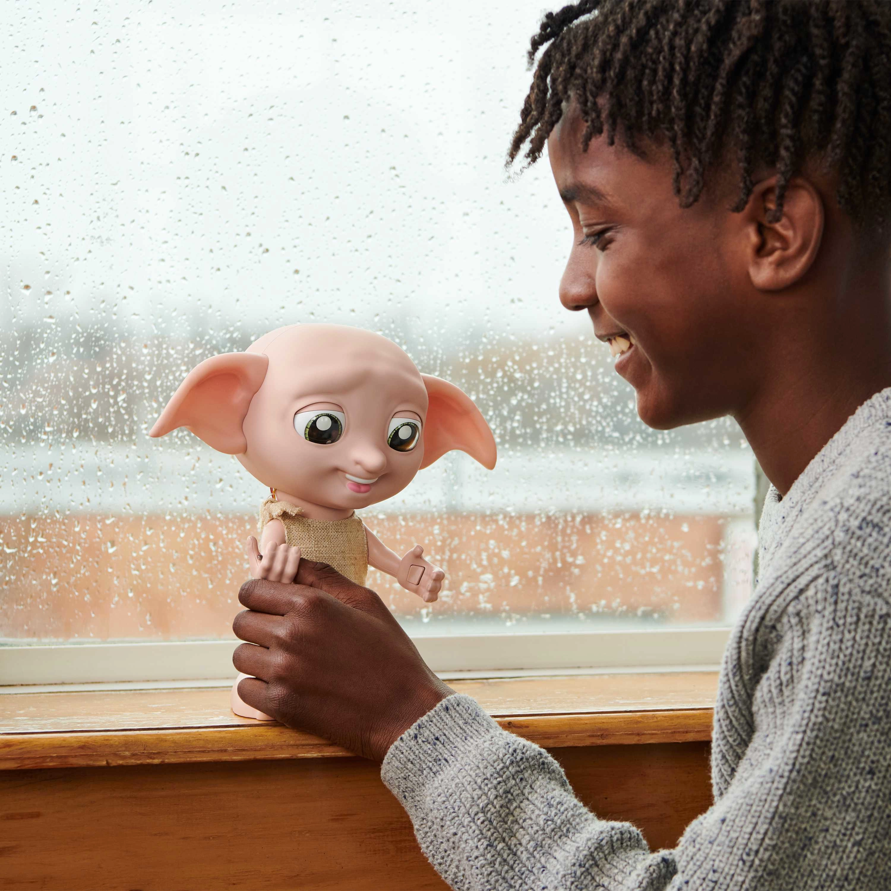 Interactive Dobby