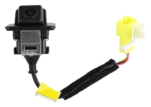 Rear View Camera